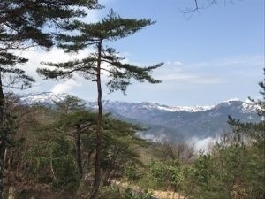 養父市吉井活動地からの氷ノ山眺望