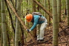 JUON NETWORKが全国16ヶ所で開催している、森づくり体験プログラム「森林の楽校（もりのがっこう）」。南国高知の「四万十川　森林の楽校」は、廃校を活用した施設を拠点に、四万十の人と自然を満喫する2泊3日です。