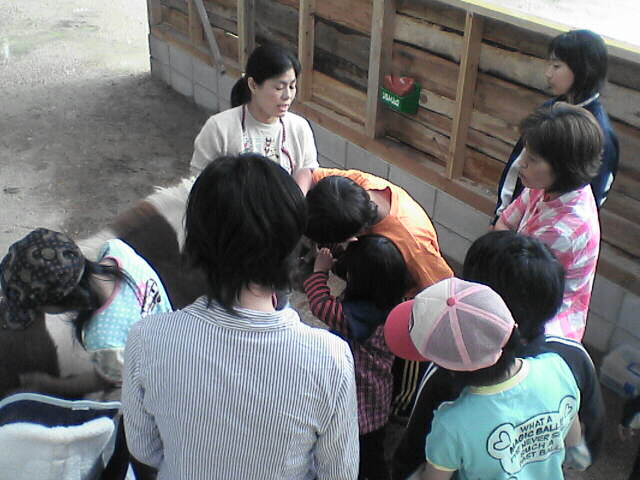 第3回外部ホースセラピー指導者による講習会 