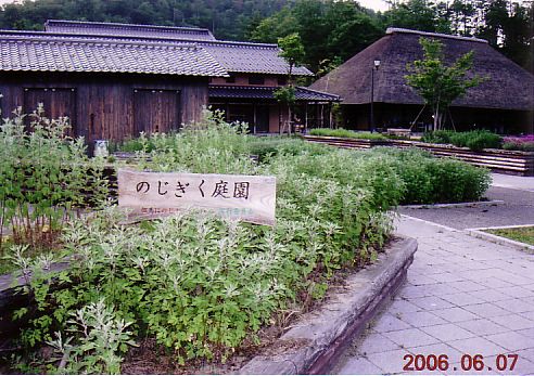 但馬に　のじぎくの郷を　1