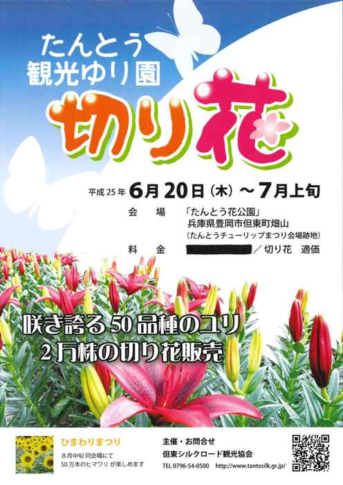 たんとう観光ゆり園、開園中です 
