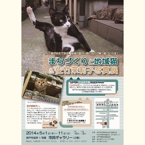 まちづくりと地域猫&amp;amp;佐竹茉莉子写真展