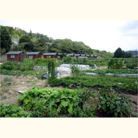 平成23年度 市民農園推進研修会の開催(募集案内)
