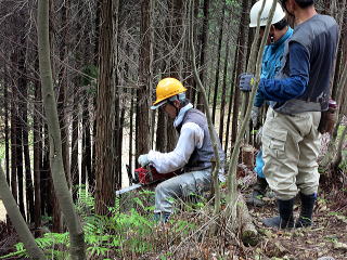 里山づくりボランティア体験&amp;amp;森づくり安全講習会