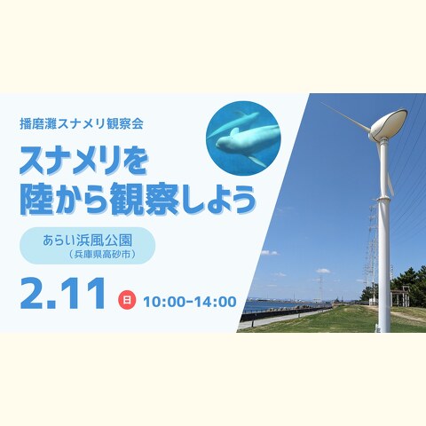 日時：2024年2月11日（日）10:00～14:00　 　　　（受付9:45）  場所：あらい浜風公園 　　　（兵庫県高砂市荒井町新浜２丁目） 　　　※現地集合・解散となります  参加費：大人 300円、大学生以下無料、 　　　　ハンドウイルカ会員 無料  　定員：15名  　対象：どなたでも 　　　　（小学生以下は保護者同伴）   持ち物：双眼鏡、弁当、水筒、帽子、防寒着。 　　　　レジャーシート、簡易イスがあると便利です。  ※雨天荒天中止 　中止の場合は、前日の夜にお知らせします。