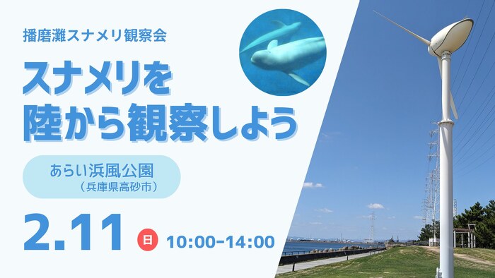 日時:2024年2月11日(日)10:00~14:00     (受付9:45)  場所:あらい浜風公園    (兵庫県高砂市荒井町新浜2丁目)    ※現地集合・解散となります  参加費:大人 300円、大学生以下無料、     ハンドウイルカ会員 無料   定員:15名   対象:どなたでも     (小学生以下は保護者同伴)   持ち物:双眼鏡、弁当、水筒、帽子、防寒着。     レジャーシート、簡易イスがあると便利です。  ※雨天荒天中止  中止の場合は、前日の夜にお知らせします。