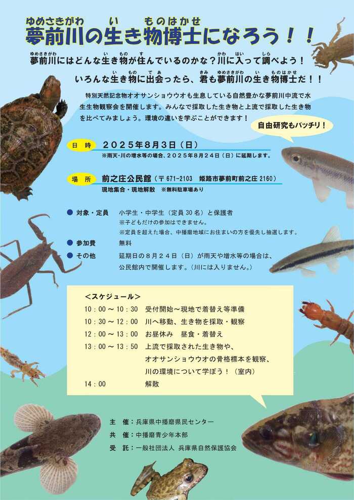 【中古】 少年記 北海道標茶に生まれ育った/七つ森書館/石川博（臨床検査技師） mode3_w700-Page_1.jpg