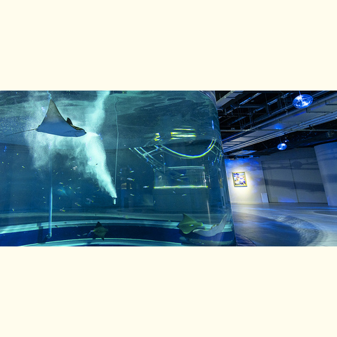 神戸ポートミュージアム"átoa（アトア）" 